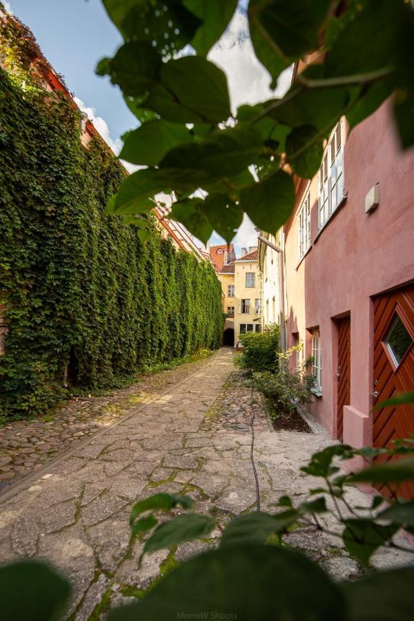 Medieval Home Tallinn Exteriér fotografie